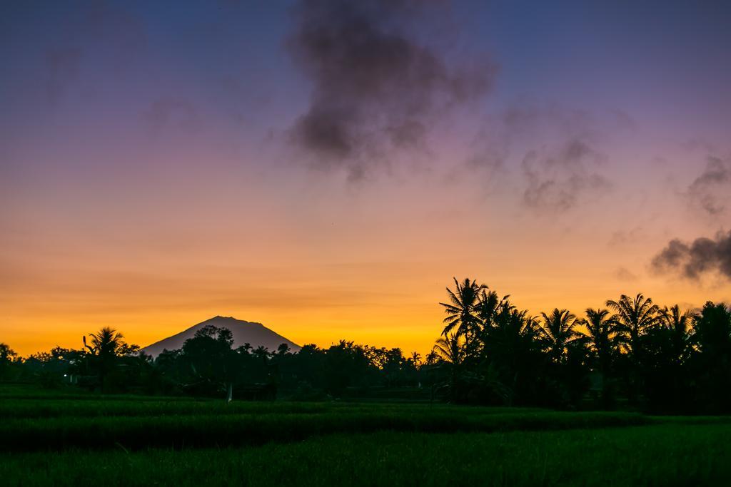 Solo Villas & Retreat Ubud Kültér fotó