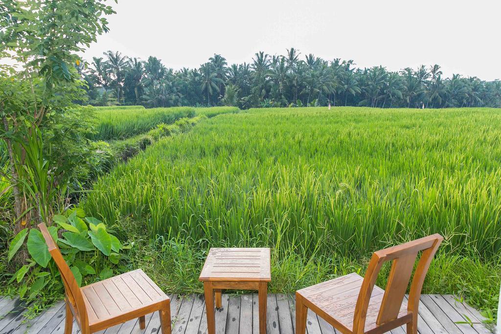 Solo Villas & Retreat Ubud Kültér fotó