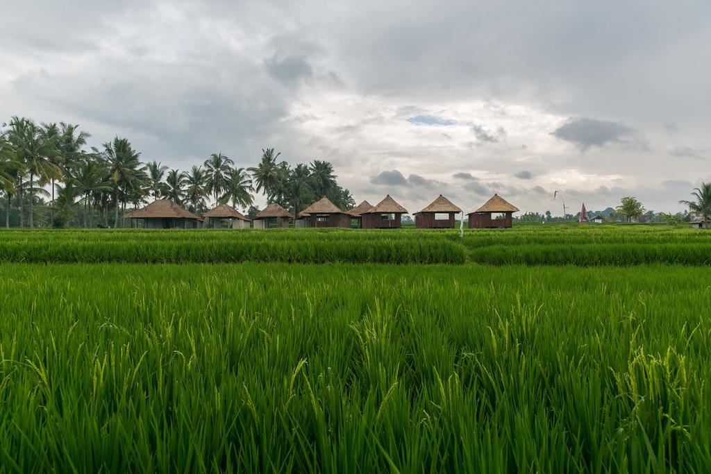 Solo Villas & Retreat Ubud Kültér fotó